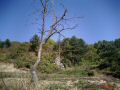 pochun 007.jpg
